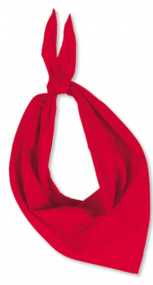 Foulard de jeu Sporti France 063219