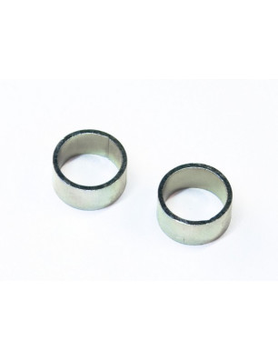 Bague pour axe (2) RABO 0886