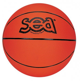 Ballon Basket Ball Futur Champ' SEA Sports France 067111