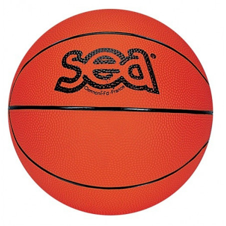 Ballon Basket Ball Futur Champ' SEA Sports France 067111