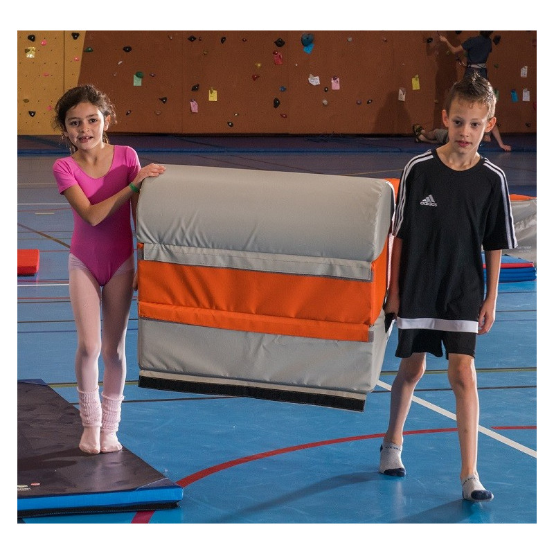 Cheval Modulo 600 Mini Gym Sarneige Cheval Modulo 600 Mini Gym Sarneige