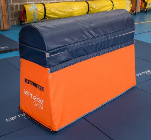 Cheval Modulo 1000 Initiation Gym Sarneige