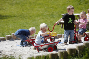 Brouette 2/4 ans Mini Viking Winther 436.20