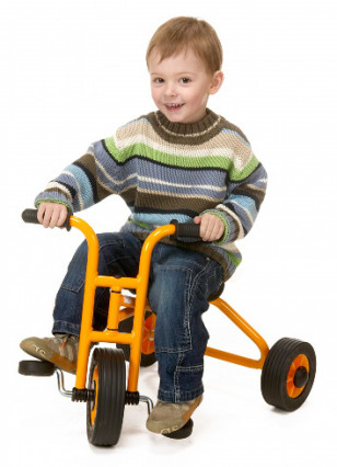 Tricycle Petit 1/4 ans RABO 7025