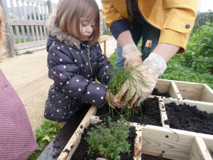 Carré potager MN015 Wiki Cat