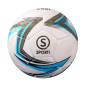 Ballon de Cecifoot et Torball