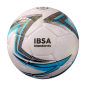 Ballon de Cecifoot et Torball