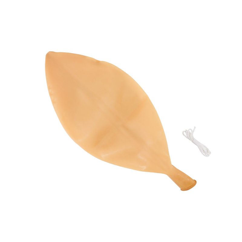 Baudruche de rechange ballon Sea