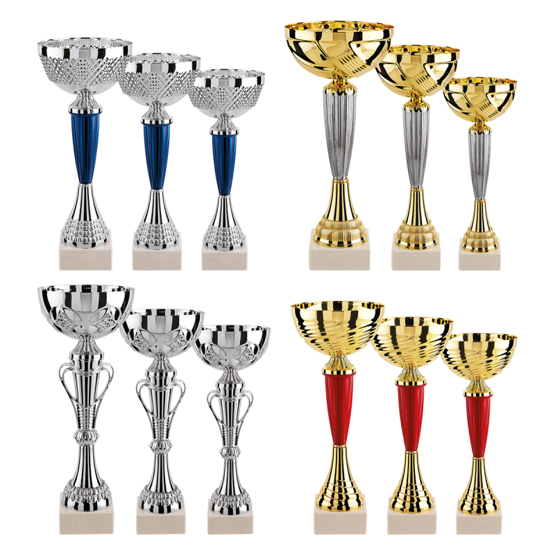 Lot de 12 coupes N°1