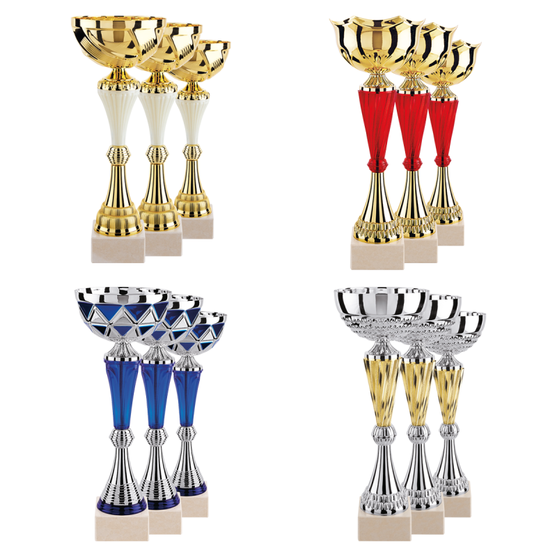 Lot de 12 coupes N°2